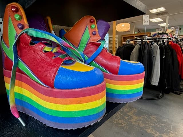 Costume Shopping at Truckee Thrift Stores! flyer