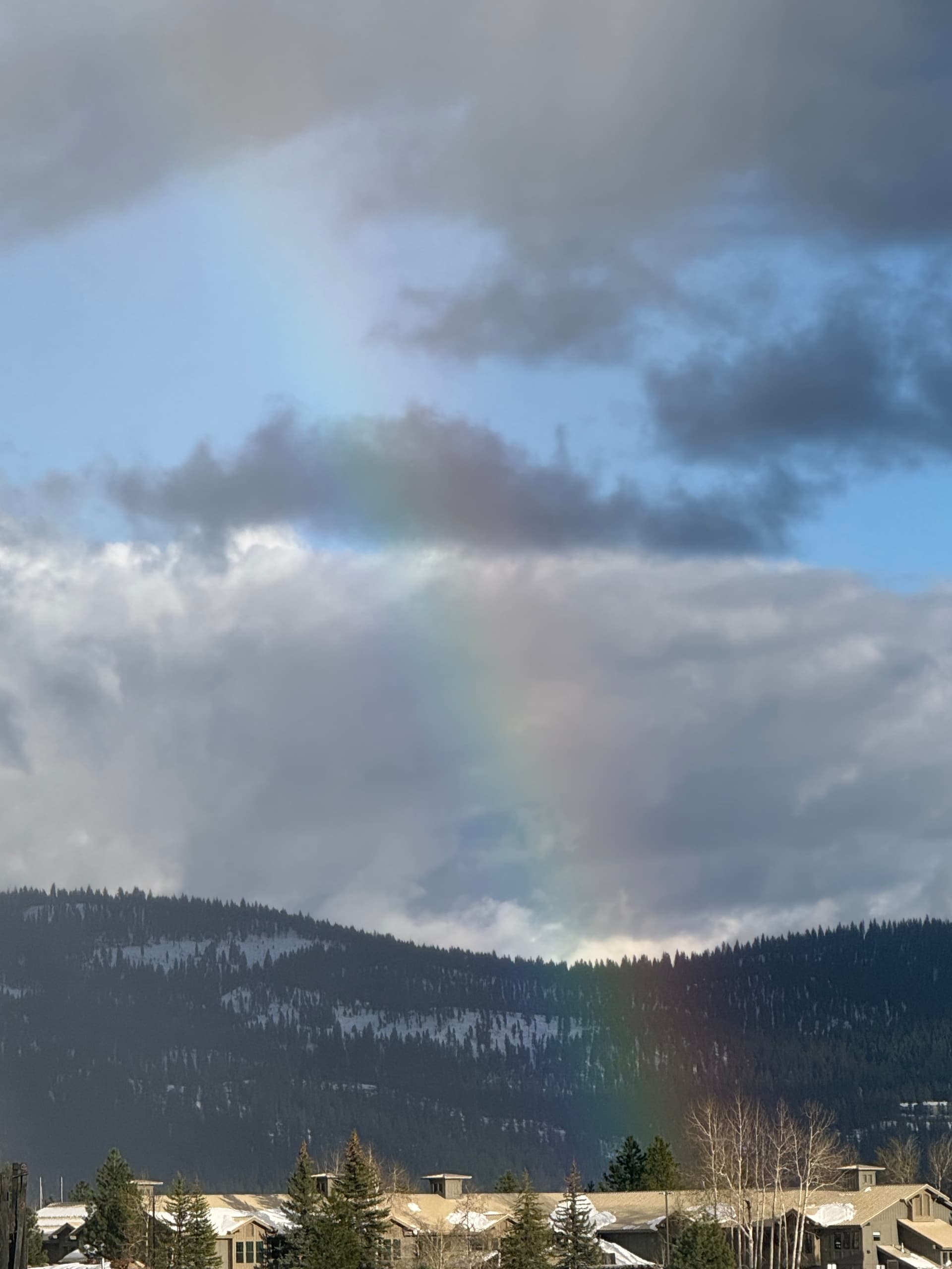 Town of Truckee - Council Pride Month Proclamation flyer